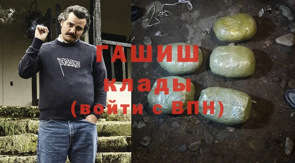 прущие грибы Коряжма