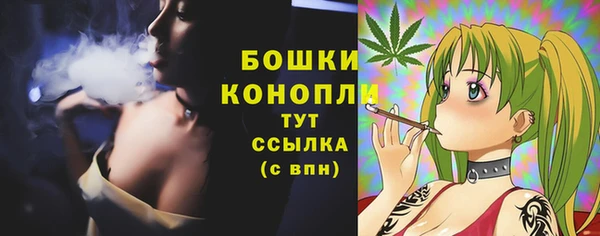 прущие грибы Коряжма