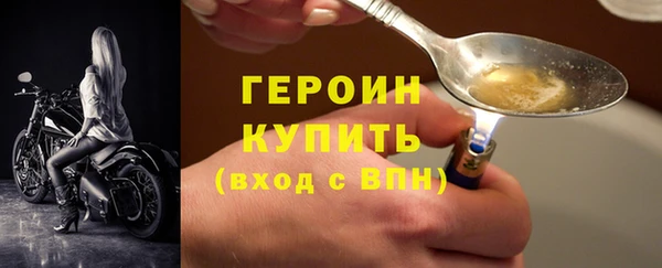 прущие грибы Коряжма