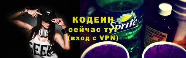 прущие грибы Коряжма