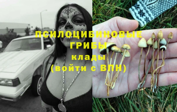 mdpv Костерёво