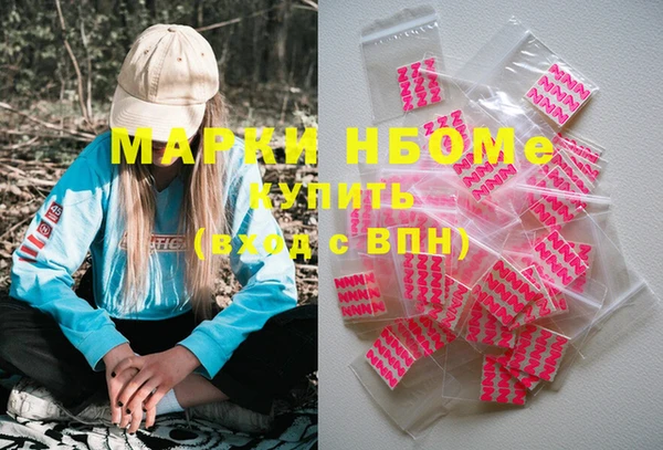 прущие грибы Коряжма