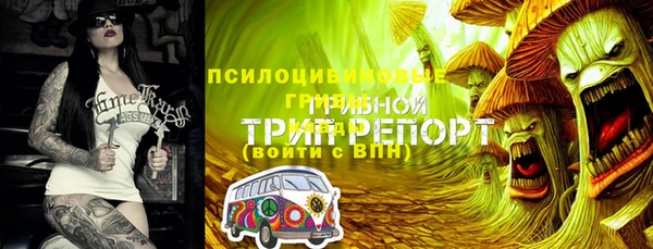 а пвп мука Корсаков