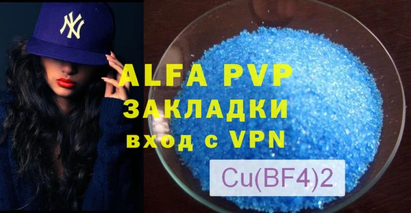 прущие грибы Коряжма