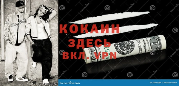 прущие грибы Коряжма