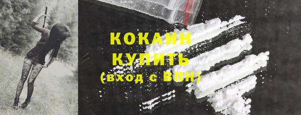 прущие грибы Коряжма