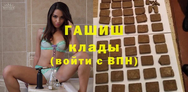 прущие грибы Коряжма