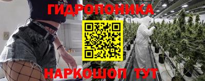 jwh Ачхой-Мартан
