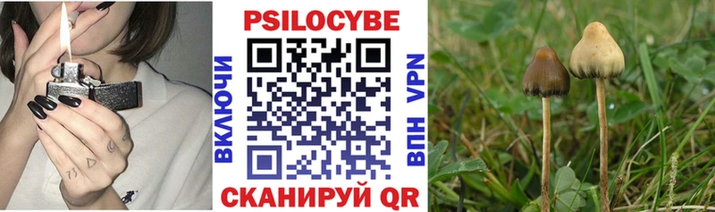 Псилоцибиновые грибы Magic Shrooms Брянск