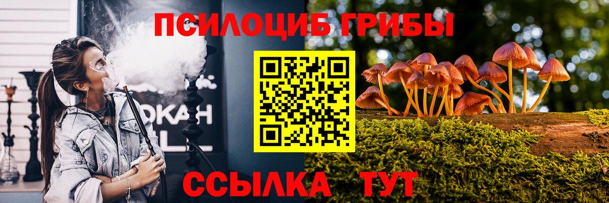 где найти наркотики  Псилоцибиновые грибы Psilocybine cubensis  Вход с VPN  Галлюциногенные грибы GOLDEN TEACHER  Брянск 